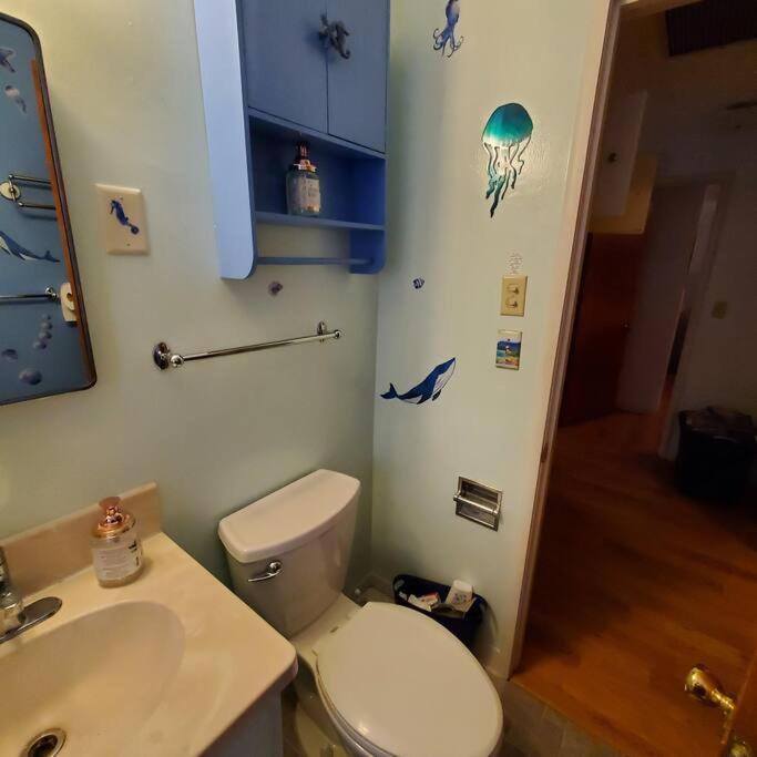 Sweet 2 Bedroom Close To U Of Oregon & Track! Eugene Exteriör bild